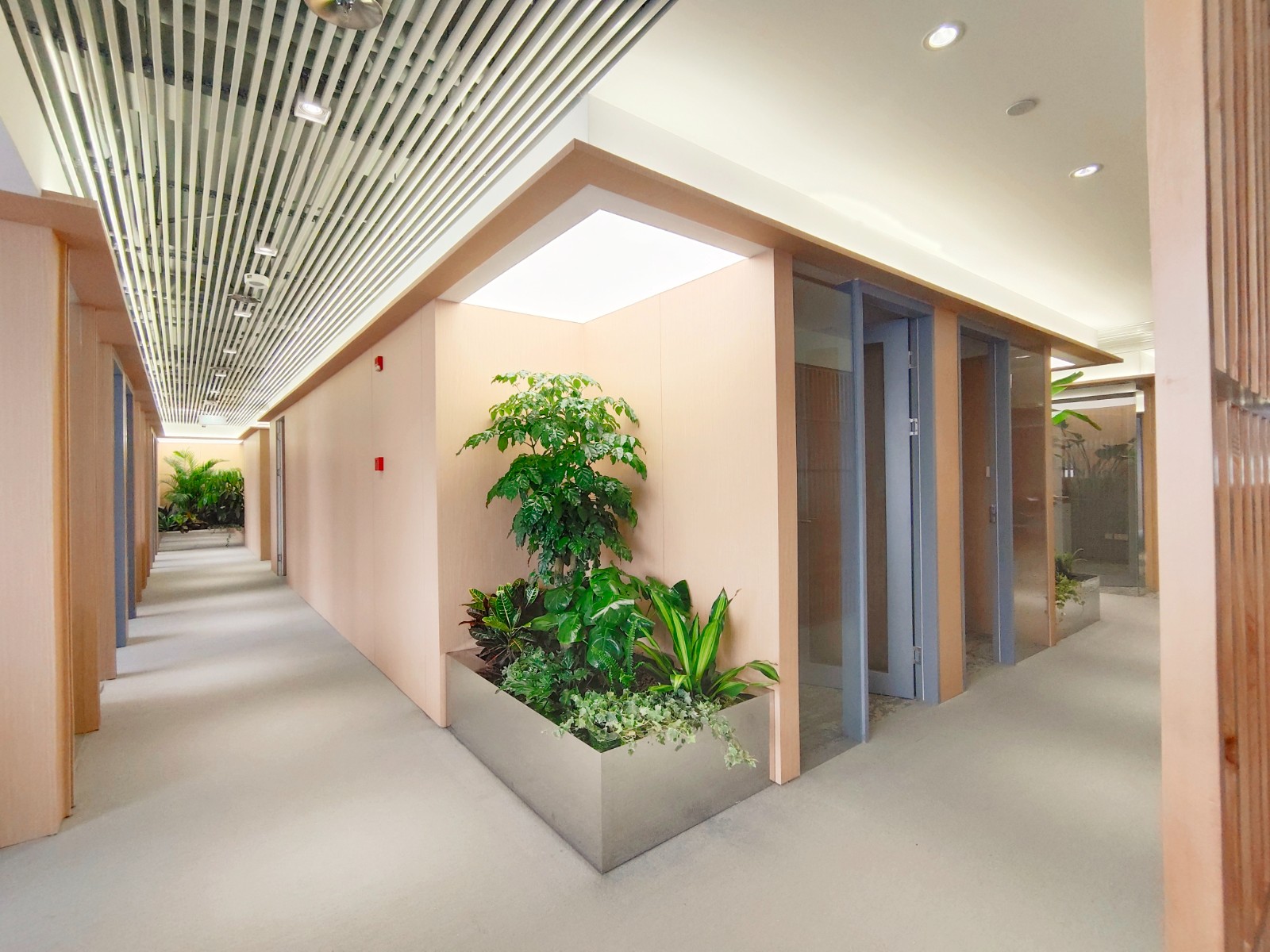 1622543893751250.jpg